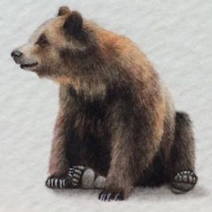 Meet your Posher, Mary-ellen